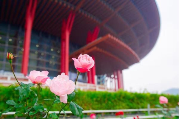 141225528.jpg 32-2.jpg